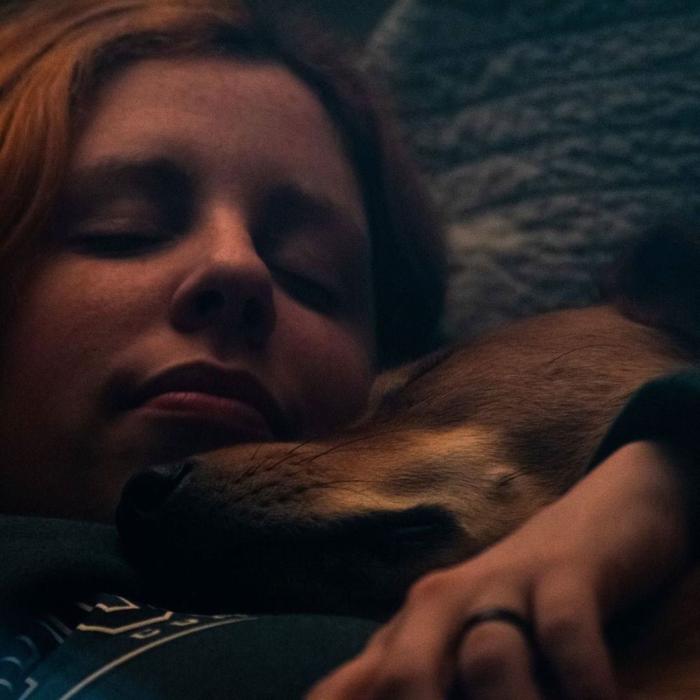 No sales at the moment